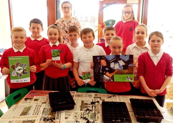 Pupils from Rossmere Primary Schools Forest School Rangers Club are growing the space seeds.