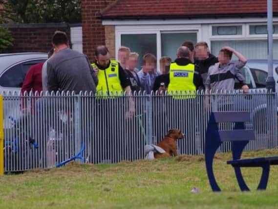 Dog tied up in the children's play park after attacking a number of children. Picture by John Tuttiett.
