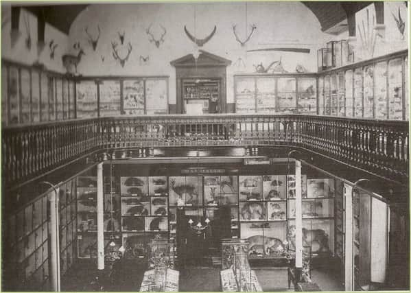 The Museum Room in 1911.