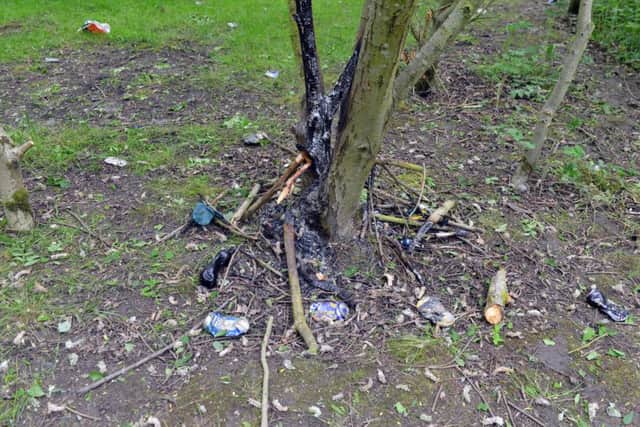 Mitch Wilson is angry over vandalised trees in the woods behind Tremaine Close
