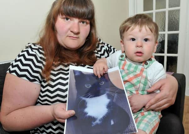 Leanne Harris and 13-month-old son Joshua have been left devastated by the death of their cat, Toby.