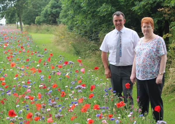 Hartlepool Borough Council's Garry Jones with Coun Marjorie James admire one of the displays.