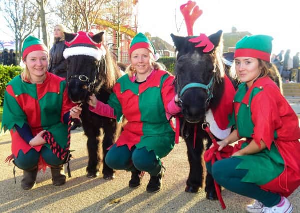 Santa's elves and their liitle helpers from Crimdon Pony World at the Wintertide Festival, Hartlepool, Headland, on Saturday.