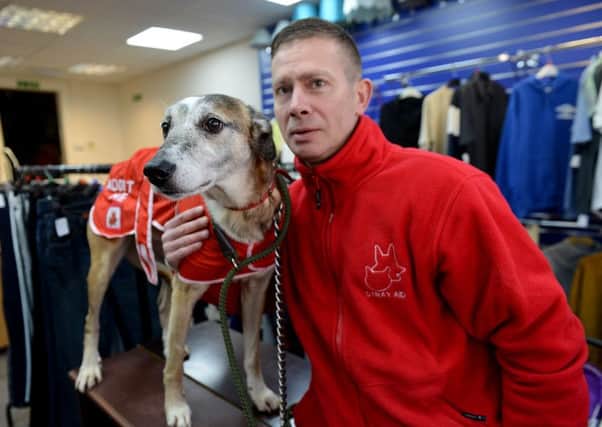 Lurcher Ernie who along with Lee Henderson Assistant Manager opened Stray Aid, Middle Street Blackhall. Picture by FRANK REID