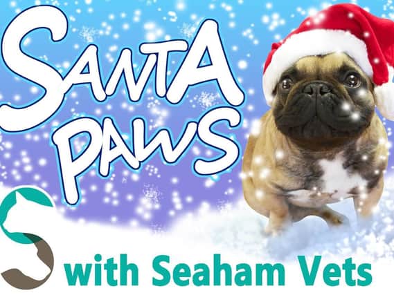 Share your pictures with us for Santa Paws!
