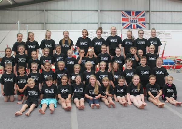 Hartlepool Gymnastics Club has launched an appeal to raise Â£65,000 to provide a sponge pit for its athletes.