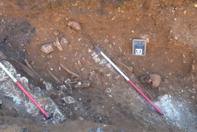 Skeletons are uncovered during excavations