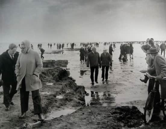 The original 1970s photograph of the submerged forest which attracted all the interest.