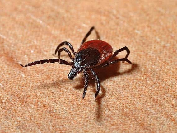 Lyme disease is spread through ticks.
