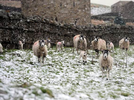 Winter weather is predicted to return to the North East later this week.