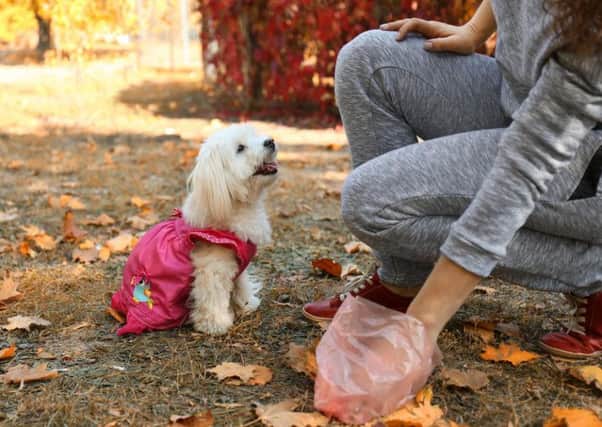 Dog owners are being encouraged to flick away their pet's poo when out in the country, rather than dump waste bags.