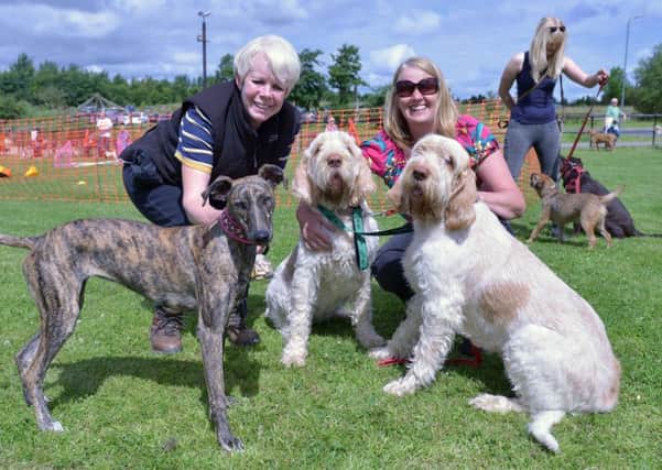 Diane Dignen (left) with her Lurcher Poppy and Beverley Nicholson with her Italian Spinone dogs Lilly (centre) and Daisey at the dogs day out event held at Summerhill. Picture by FRANK REID