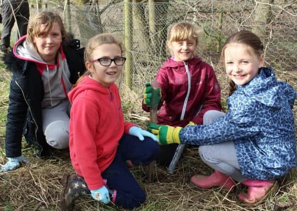 St Aidans Worship Council pupils taking part in a tree planting session at Summerhill Country Park and Visitor Centre.
