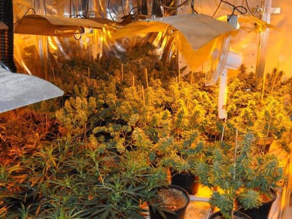 Suspected cannabis farm in Hartlepool