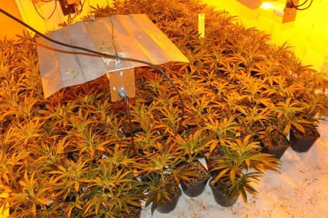 Suspected cannabis farm in Hartlepool