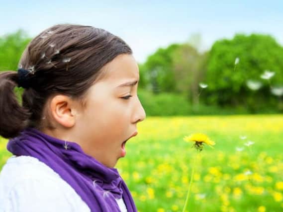 One in five Brits suffers from hay fever. Pic: Shutterstock.