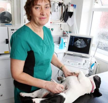 Clinical Director Angela Holroyd with the ultrasound scanner.