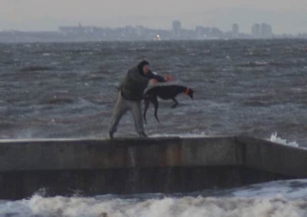 An image of a dog being thrown into the sea at Hartlepool.