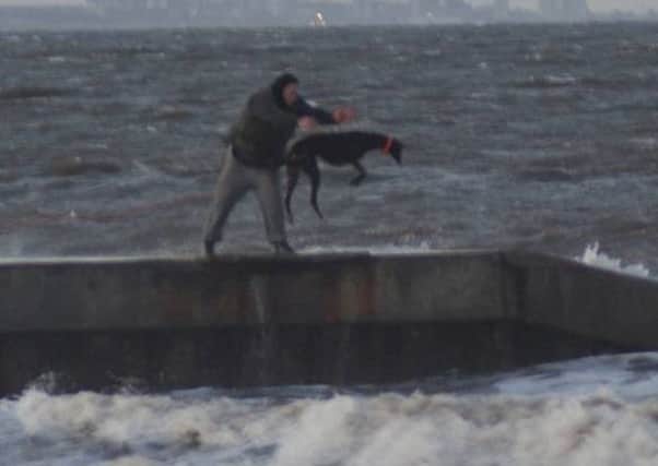 The man hurls the greyhound into the waves at Hartlepool