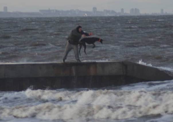 The man hurls the greyhound into the waves at Hartlepool.