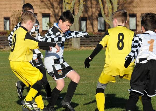 Seaton Lions U11 (white) V Billingham Wasps. Hornby Park, Seaton Carew. Picture by FRANK REID