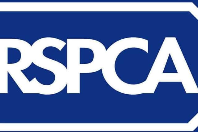 The RSPCA has commented on the report.
