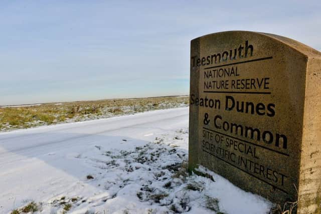 A winter scene at Seaton Dunes. Picture by FRANK REID
