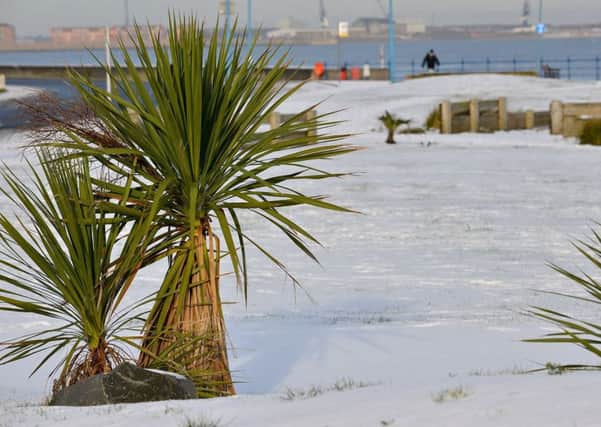 Seaton Carew in the snow. Picture by FRANK REID