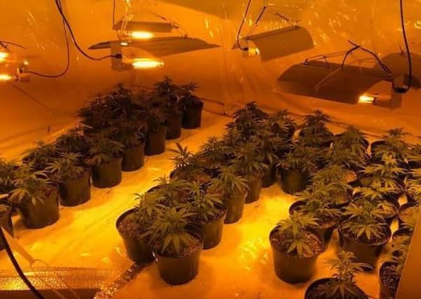 Hartlepool Neighbourhood Policing Team discovered more than 150 cannabis plants at a property in Hartlepool.