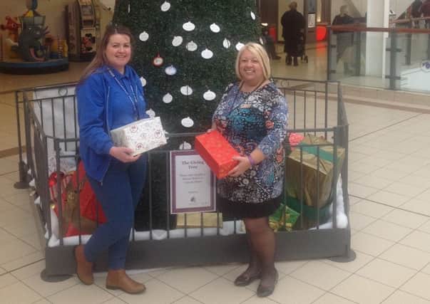 Joanne Horner of Harbour (left) and Suzanne Chaney, Middleton Grange Retail Executive pose in front of the centres Christmas Giving Tree.