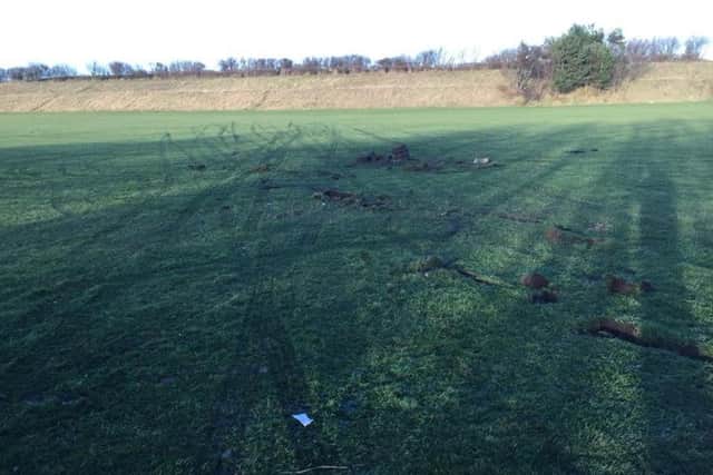 Marks in the field. Picture: Shane Moore.