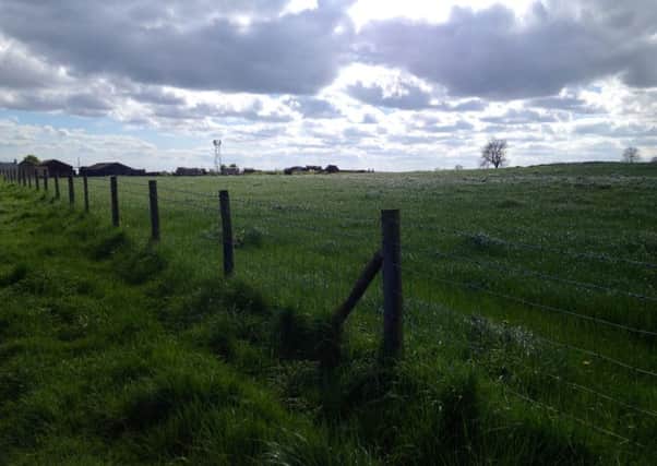 The edge of the land near High Tunstall Farm where up to 1,200 homes could be built.