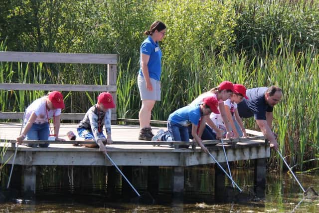 Saltholme is a family-friendly nature reserve, providing activities of interest for all ages.