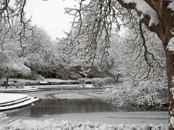 A snowy scene in Rossmere Park, Hartlepool, today. Pic: Bill Reid.