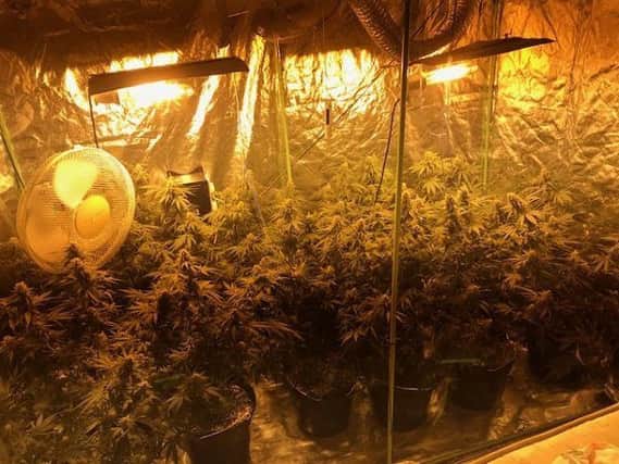 The suspected cannabis farm found in Hartlepool.