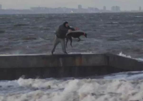 A dog is thrown into the sea off the Hartlepool coast.