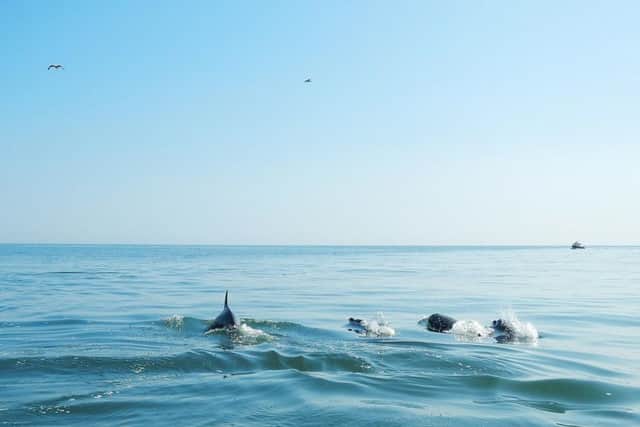 A lovely day for a family swim. Photo by Angie Ellis Photography.
