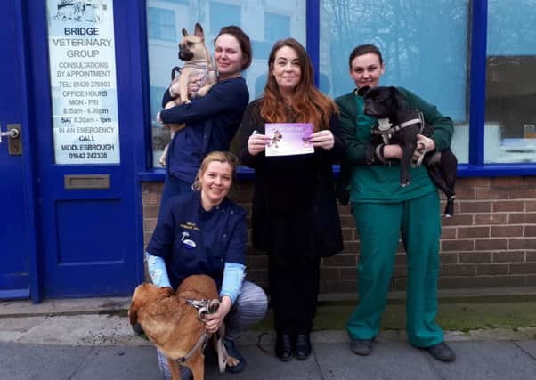Staff at Bridge Veterinary Group who are the event sponsors for this year's Big Dog Day Out in Hartlepool.