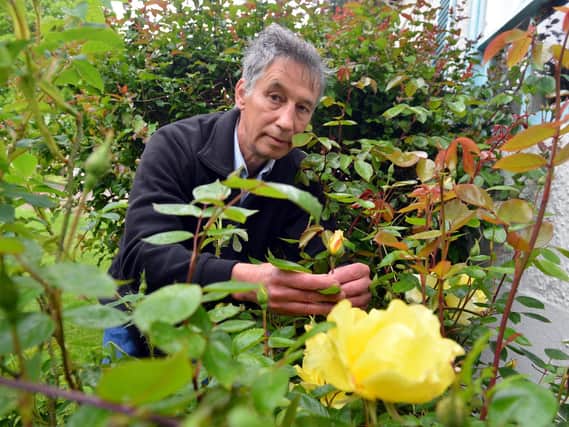 John Proudlock tends to some of the border's flowers